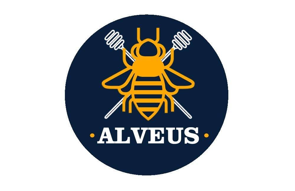 Alveus